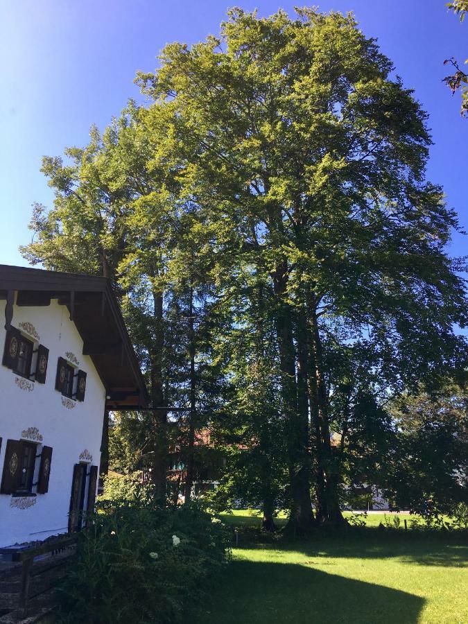 Traumhaftes Ferienhaus Direkt Am Tegernsee Rottach-Egern Ngoại thất bức ảnh